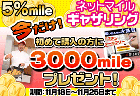 5��mile �l�b�g�}�C���M���U�����O
�������I���߂čw���̕���
3,000mile�v���[���g�I
���ԁF11��18���`11��25���܂�