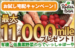 ��������z�L�����y�[���I
�ő�11,000mile�v���[���g�I
�L�@�E��_���؂̂�ł�������ځ[��