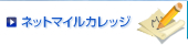 �l�b�g�}�C���J���b�W