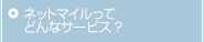 �ͥåȥޥ���äƤɤ�ʥ����ӥ���