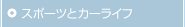 �X�|�[�c�ƃJ�[���C�t