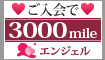 �����̃G���W�F���@�����3,000mile