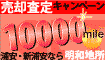 サマーキャンペーン