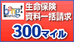 �}���}���I�K��300mile�Ⴆ��`�����X�I
