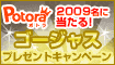 Potoraオープニングキャンペーン