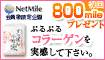 �u�����ۂ񏬒��v����w����800mile!!
