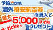 �C�O�q�󌔂̍w���ōő�5,000mile