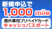 �O�ݗ��ւ�1,000mile�Q�b�g�I