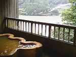 奈良県の「入之波温泉山鳩湯」