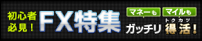 �鿴��ɬ������FX�ý�
2010ǯ�ϥޥ͡���ޥ���⥬�å������衪