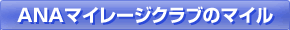 ANA�ޥ��졼������֤Υޥ���