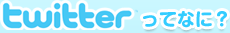 twitter�äƤʤˡ�