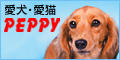 PEPPY�i�y�s�C�j