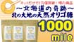 �k�̑�n�̓V�R�I���S�������T�C�g