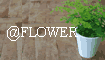 ��FLOWER