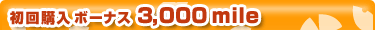 �������ܡ��ʥ�3,000mile