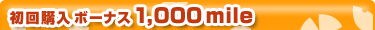 �������ܡ��ʥ�1,000mile