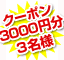 ݥ3000ʬ3̾