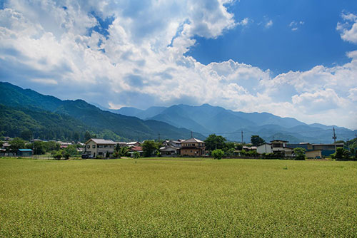 お得なふるさと納税