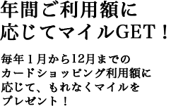 年間ご利用額に応じてマイルGET！ 毎年１月から12月までのカードショッピング利用額に応じて、もれなくマイルをプレゼント！