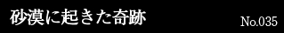 砂漠に起きた奇跡 No.035