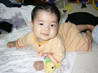 蒼馬君