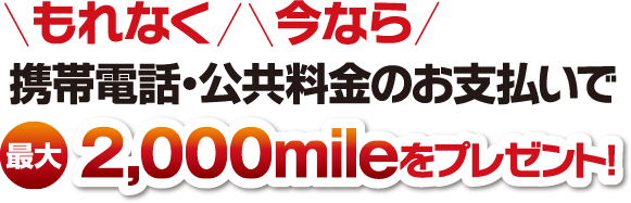 ʤʤ顡áΤʧǺ2,000mileץ쥼ȡ